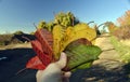 Holding leafs