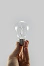 Holding light bulb isolated on background Royalty Free Stock Photo