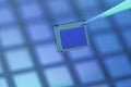Holding microchip with pair of tweezers. Matrix sensor . Photo video sensor Royalty Free Stock Photo