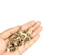 Holding moringa seeds in hand isolated on a white background Royalty Free Stock Photo