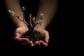 Holding a new plant in hands