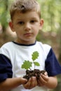 Holding oak sprout Royalty Free Stock Photo