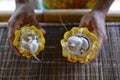 Holding the open Cacao Pod Royalty Free Stock Photo