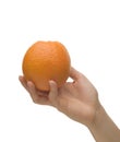 Holding an Orange