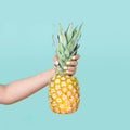 Holding a pineapple. Yellow nails. Girl hands. Royalty Free Stock Photo