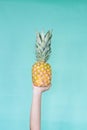 Holding a pineapple. Yellow nails. Girl hands. Royalty Free Stock Photo