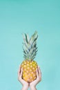 Holding a pineapple. Yellow nails. Girl hands. Royalty Free Stock Photo