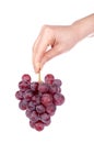 Holding a red grapes bunch