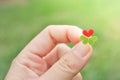 Holding red heart clover leaf Royalty Free Stock Photo