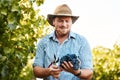 Holding the rewards of his hard work. a farmer holding a bunch of grapes in a vineyard. Royalty Free Stock Photo