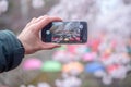 Holding smart phone, looking at pictures from Jinhae ,Spring Cherry blossom Jinhae Gunhangje festival 2019 at Gyeonghwa railway st