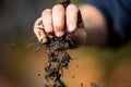 Holding soil in a hand, feeling compost in a field in Tasmania Australia Royalty Free Stock Photo