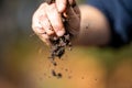 Holding soil in a hand, feeling compost in a field in Tasmania Australia Royalty Free Stock Photo