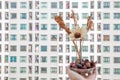 Holding stainless vase with the dried flowers, condominium building background. love in city life. lonely