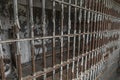 Holding tank in an abandoned jailhouse