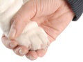 Holding on to a dogs paw Royalty Free Stock Photo