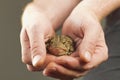 Holding Toad Royalty Free Stock Photo