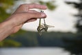 Holding two Dragonflies upside down