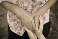 Holding wrinkled hands of an elderly woman and young hands of a teenager, concept of age, family, care and support for family, Royalty Free Stock Photo