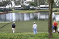 Hole 17 at The Players Championship 2012 Royalty Free Stock Photo