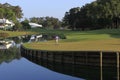 Hole 17 at The Players Championship 2012 Royalty Free Stock Photo