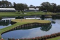 Hole 17 at The Players Championship 2012 Royalty Free Stock Photo