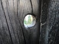 Through hole in an ancient board