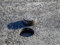 Hole in asphalt pavement, drilled cylindric specimen