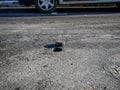 Hole in asphalt pavement, drilled cylindric specimen