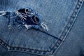 A hole in the back pocket of jeans Royalty Free Stock Photo