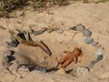 Teddy bear on beach sand