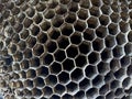 hole beehive closeup Royalty Free Stock Photo