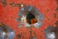 Hole from the canister of the twelfth caliber