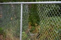 Hole in a chain link fence Royalty Free Stock Photo