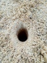 Hole of Crab Animal on Beach Royalty Free Stock Photo