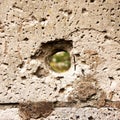 Hole in the destruction concrete wall, bullet hole, abstract background free space for design after war