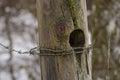 Hole in fence post with barb wire Royalty Free Stock Photo