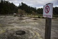 Hole with geothermal heat for cooking traditional azorean dish called Cozido at Furnas