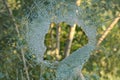 A hole in the glass or window. Broken and pierced window overlooking the green background Royalty Free Stock Photo