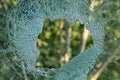 A hole in the glass or window. Broken and pierced window overlooking the green background. A hole from a shell or bullet