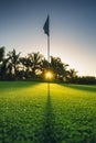 In the hole, golf course Royalty Free Stock Photo