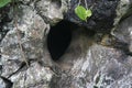 Dark hole on natural limestone. entrance and exit of rodents Royalty Free Stock Photo