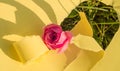 A hole made of torn yellow paper, a pink rose on the green grass on a Sunny afternoon. Creative design, hard shadow, bright light Royalty Free Stock Photo