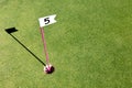 Hole marked with small flag at the mini golf area