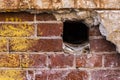 Hole in old brick wall as a background. Copy space for text Royalty Free Stock Photo