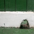 The hole in old white and green wooden wall Royalty Free Stock Photo