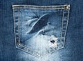 Hole in a pocket of old jeans Royalty Free Stock Photo