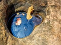 Hole on the rock ground with water logged inside.