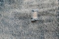 Hole and Threads on Denim Jeans. Ripped Destroyed Torn Blue jeans background. Royalty Free Stock Photo