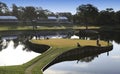 Hole 17, TPC Sawgrass, The players 2012, Ponte Vedra, FL Royalty Free Stock Photo